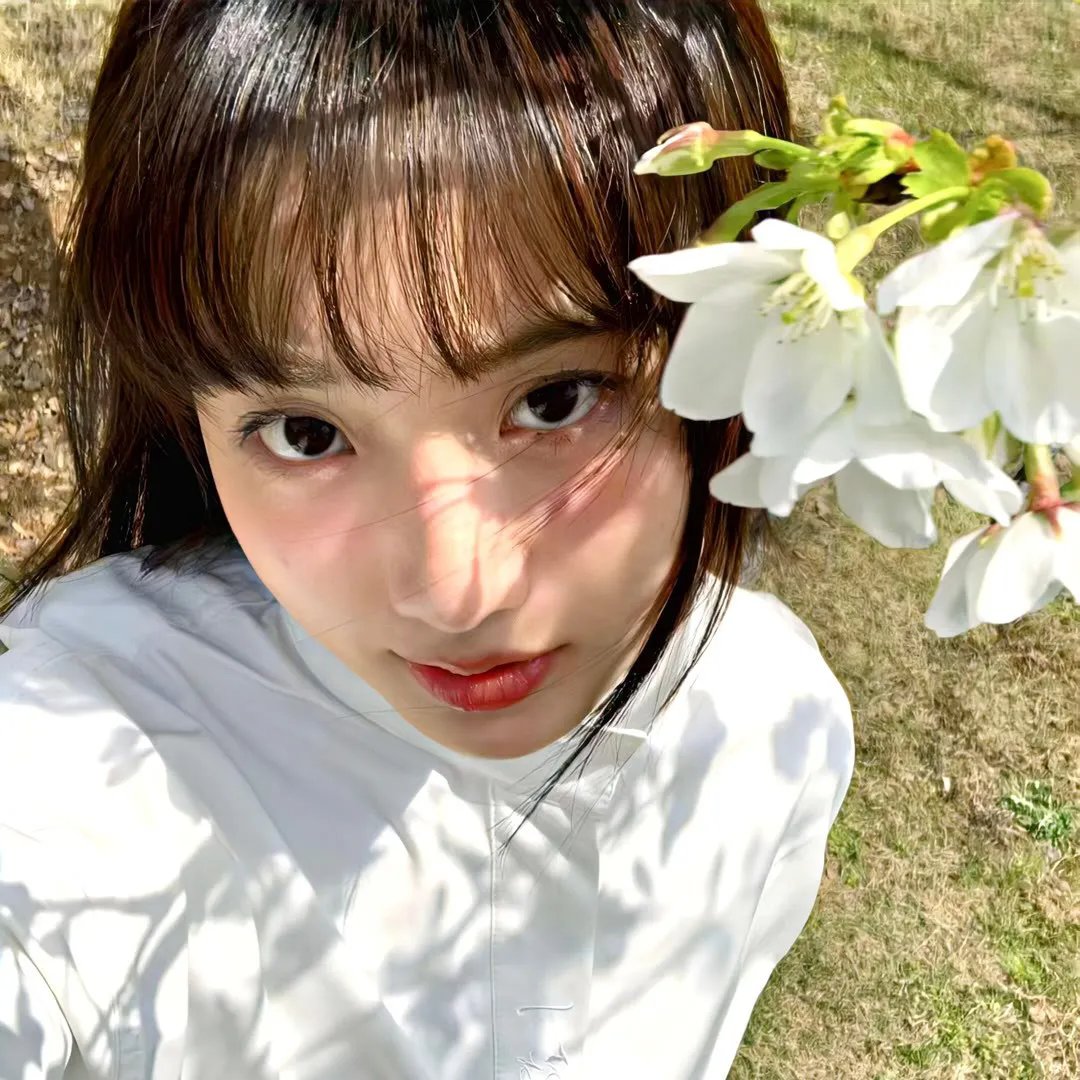 侨女日记
